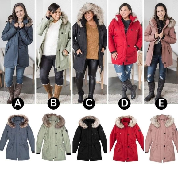 Silver Icing Only Central Parka NWT - Picture 3 of 10